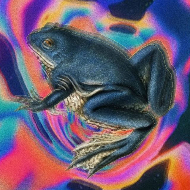 ree