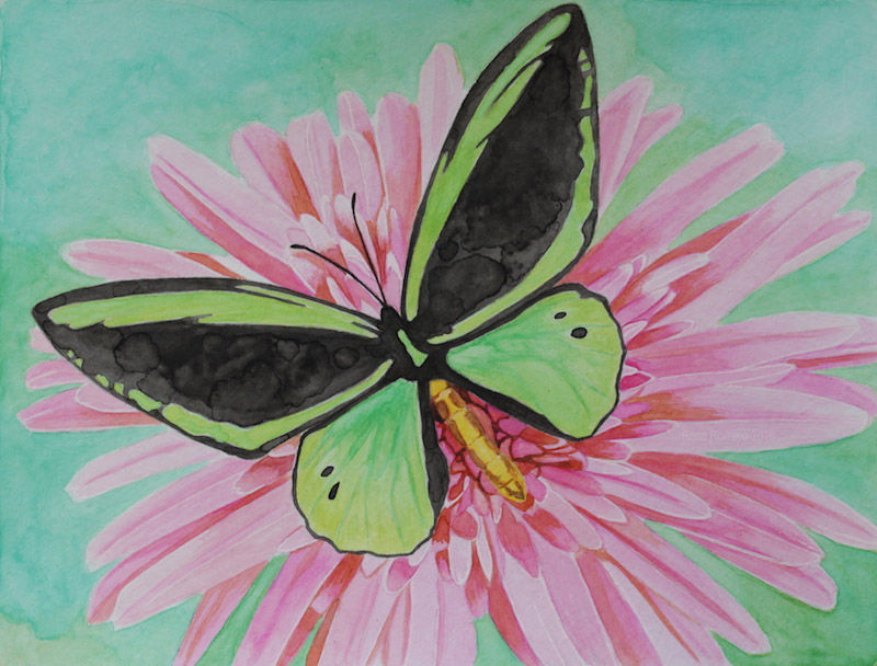 green butterfly
