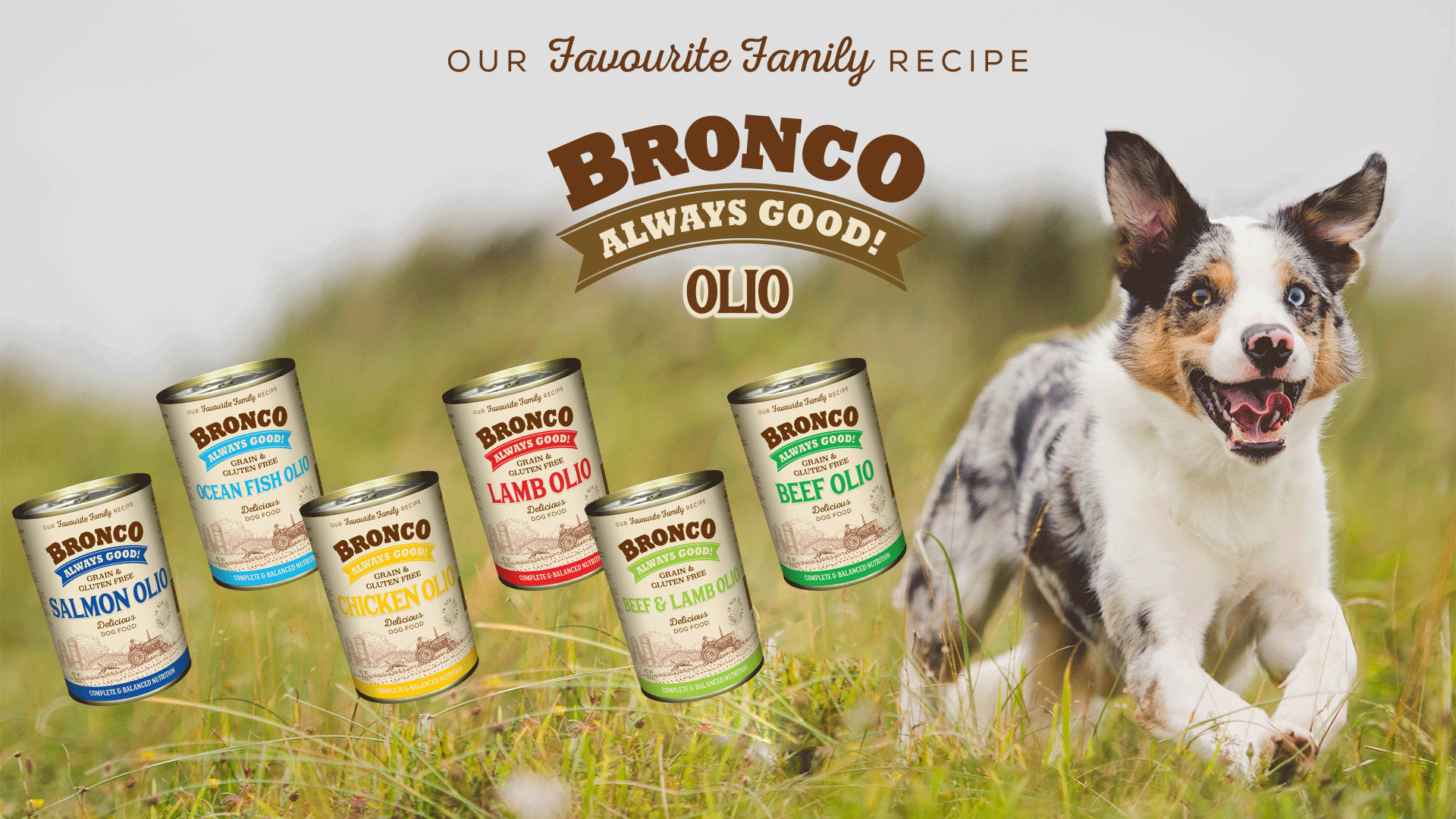 Bronco-Olio-Canned.gif