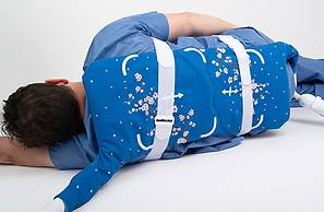 InkSpace Imaging Adult MR coil for spine applications