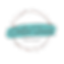 csb transparent logo-2.png