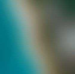 Unvergessliche Tage in der Dominikanischen Republik 🌴 - 10 Tage im Iberostar Costa Dorada, 5* ab 1.589 EUR p.P. inkl. Flug (November 2024)