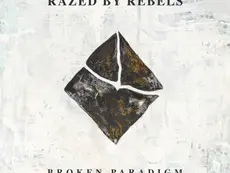 Cover art of the album "Broken Paradigm" by Razed by Rebels
