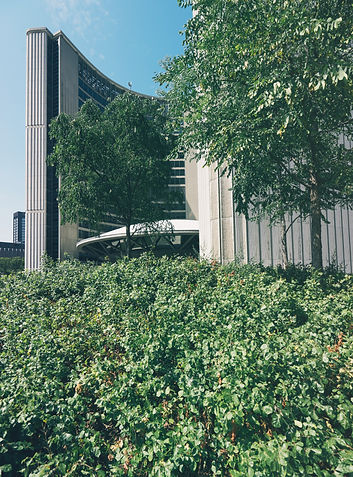 scott-webb-kx8FdCycanQ-unsplash.jpg