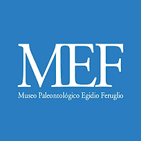 Logo_Museo_Trelew.png