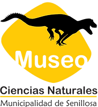 LOGO_Museo Senillosa_sin fondo_letras negras.png