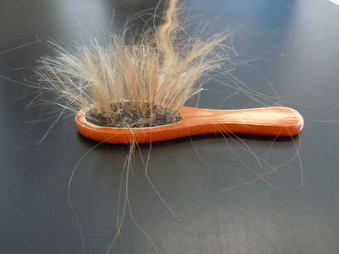 `Brushing out thought`-hair and brush