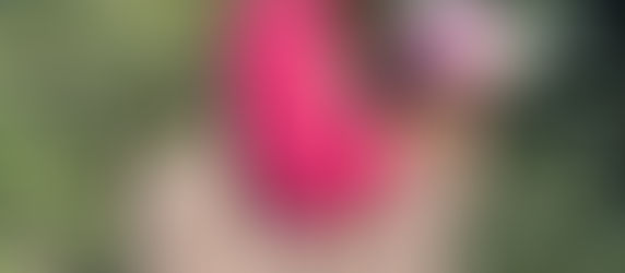 Mumlu Kanvası Tanıyalım