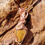 Thumbnail: Ashwoven – Mariam Jasper Pendant | Strength & Protection