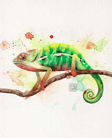 Chameleon.jpg
