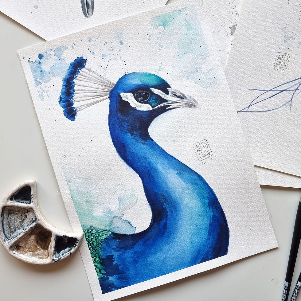 Thumbnail: Peacock watercolor painting