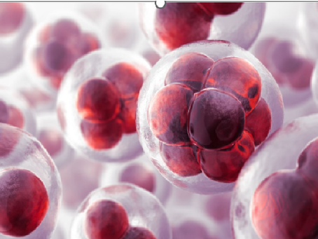 Small is Beautiful (and long-lasting)