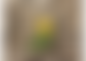 Path of Most Resistance