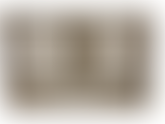 Greater Fool Theory is Failing