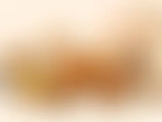 Vad är traditionell indisk mat egentligen?