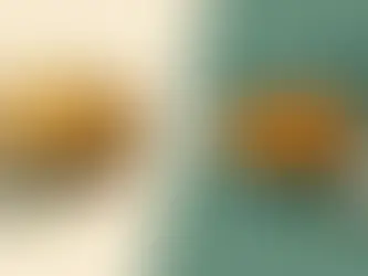 Biryani versus curryrätt - vad passar dig bäst?