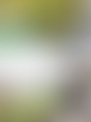 Bore Water Pump: Crucial Insights for Homeowners