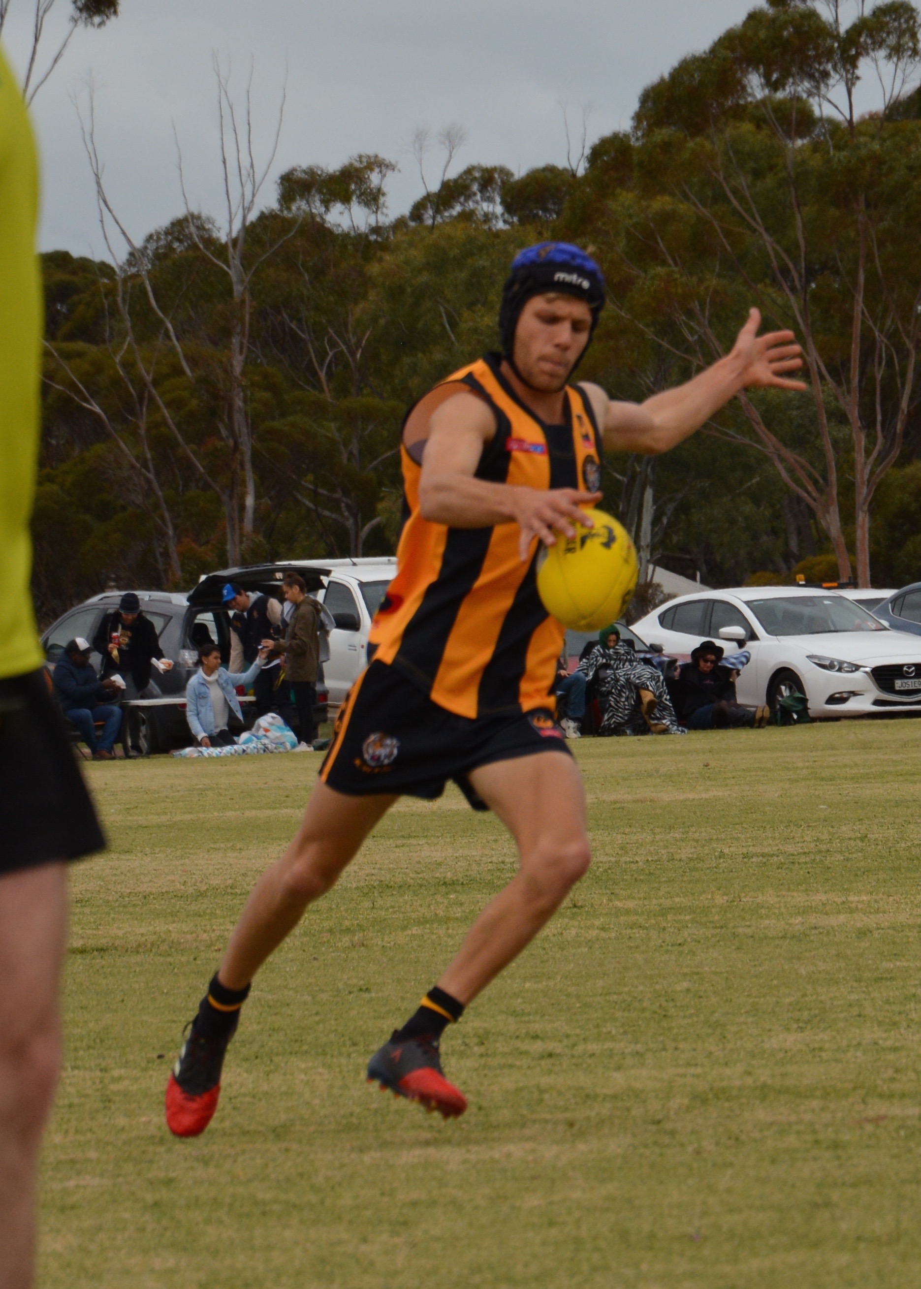 Preliminary Final