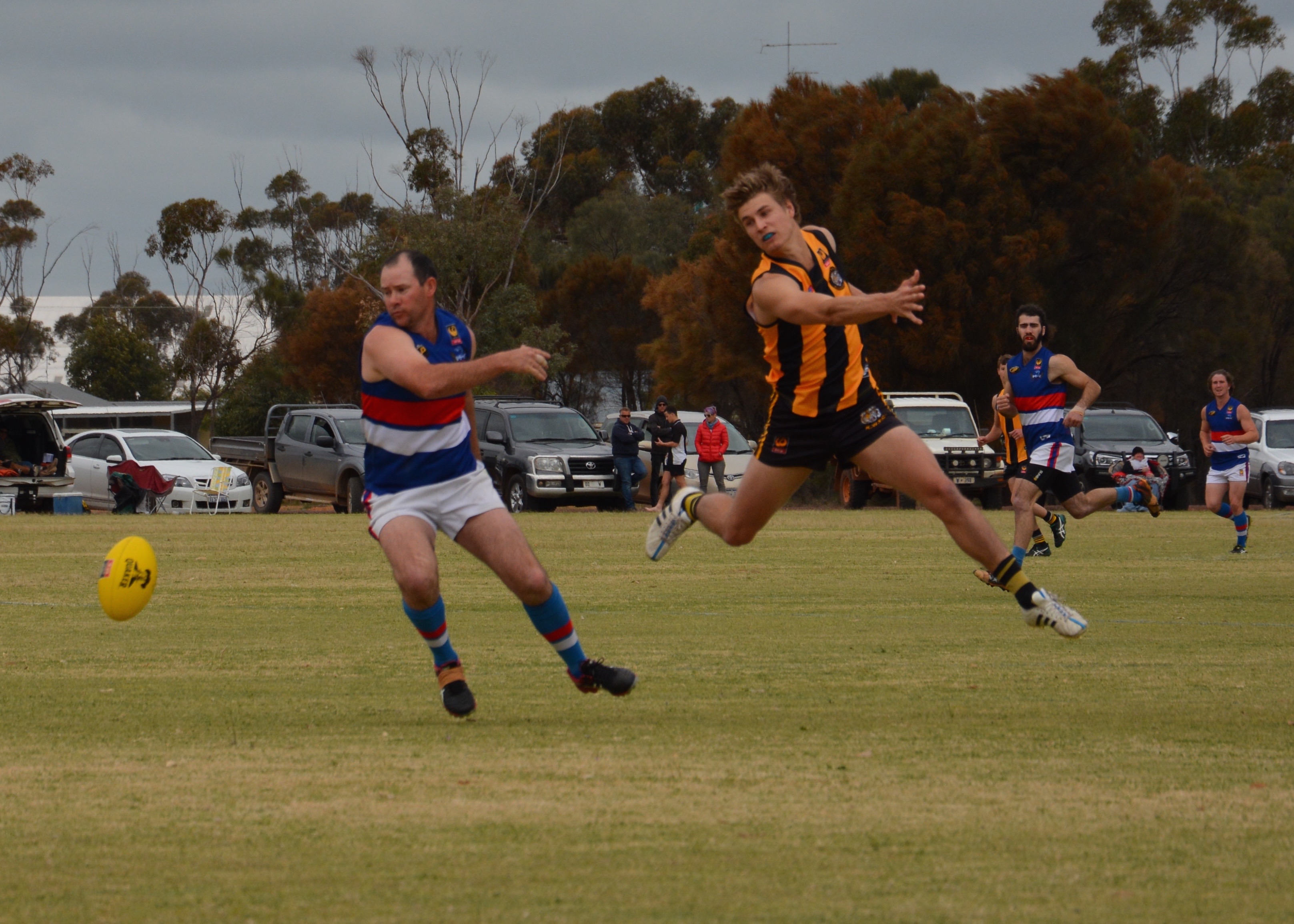 Preliminary Final