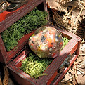 20220801_123612_edited_edited.jpg