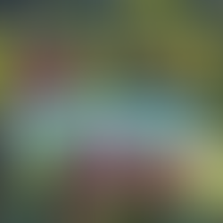 Projeto no Rio: A capital do futebol feminino impulsiona educação e promove inclusão