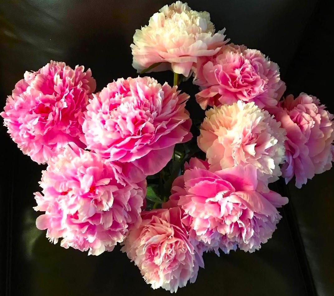 Mother's Day Peonies Bouquet