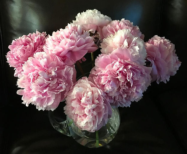 peonies3.jpeg