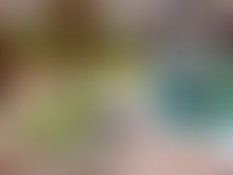 Food Groups, Keeping our Bodies Healthy and Brachot Before We Eat!