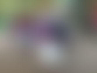 Thank You Hashem for BJP!