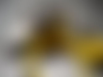 Prof. Dirceu promove LIVE com árbitro Ex. CBF/FFERJ - INDIO - Luis Antônio Silva Santos