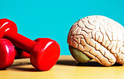 Benefícios da atividade física nas disfunções do sistema nervoso