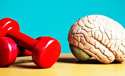 Benefícios da atividade física nas disfunções do sistema nervoso