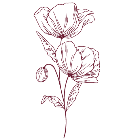 Copy of Copy of IN BLOOM.png