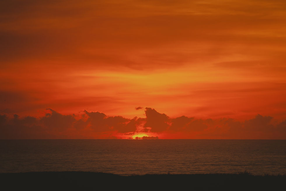 Pedrera - Marzo 114.jpeg