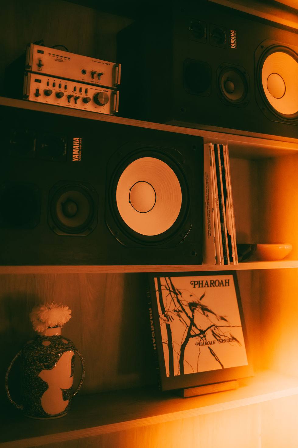 Bimbi Nilo _ Julio 237