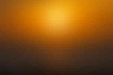 MX Baja California 2020