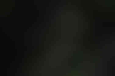 Cataratas Iguazu Mayo 2013   1287-2