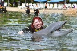 Jenny The Dolphin