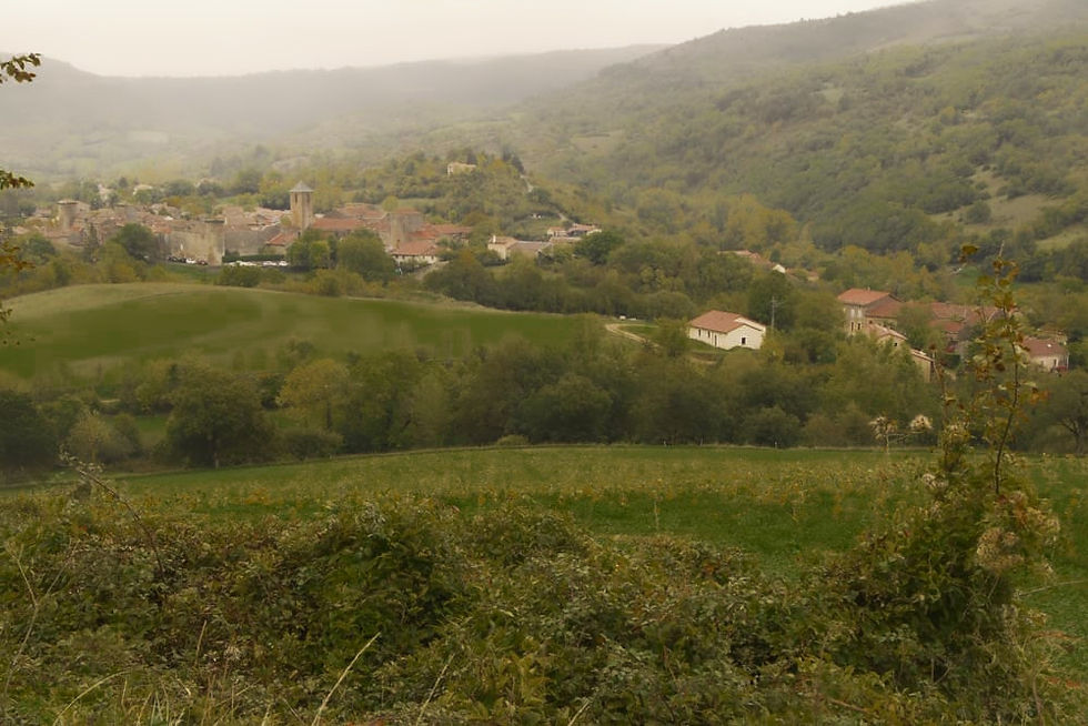 vallée verdure pâturage