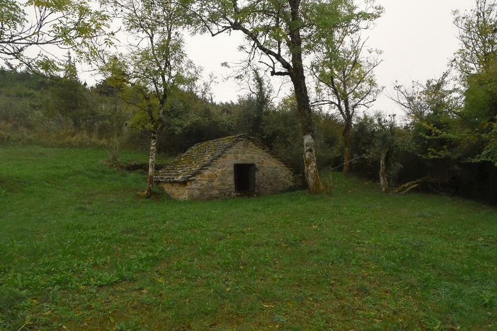 cabane de berger en pierres