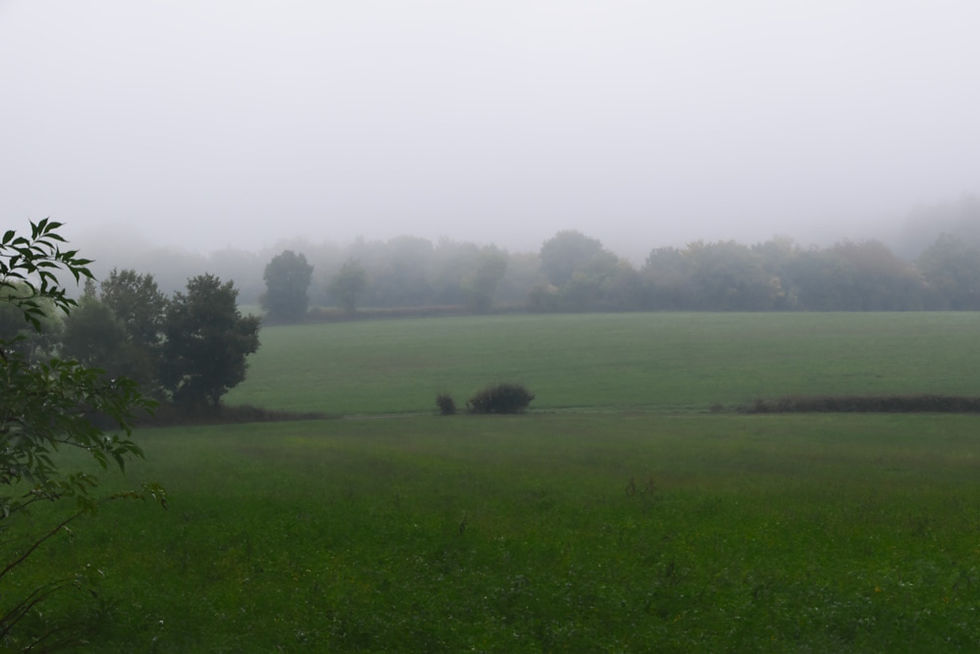 champ brouillard randonnée trek