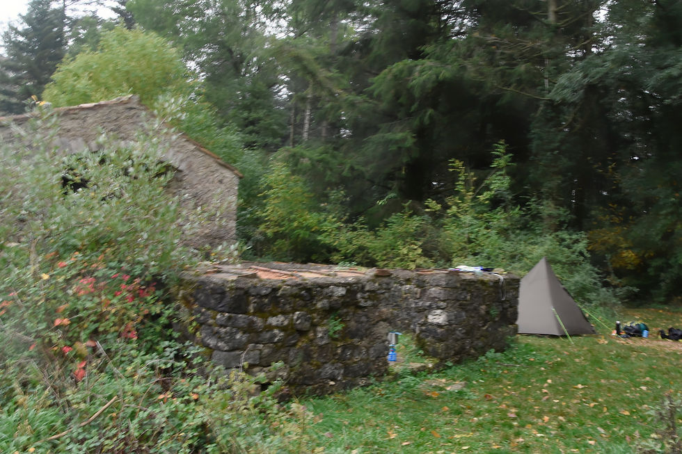 bivouac foret tente