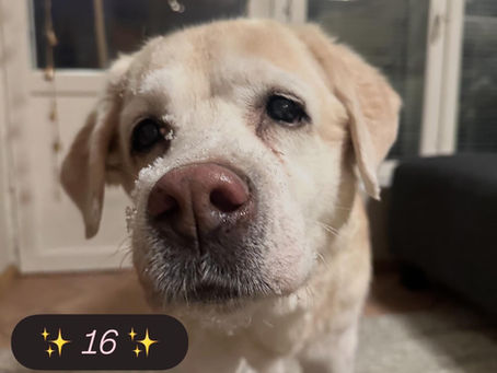 Sixteen years of light. 💛