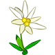 4e8d01_ea41441e3f8b445ebba2ff52c26db012_mv2.png