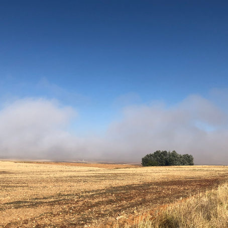 Day 25 Villanueva de Campean to Zamora 