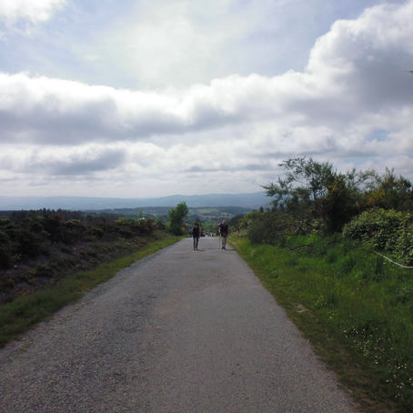 Day 25 In Middle Earth