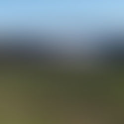 And out of the Ramtops…