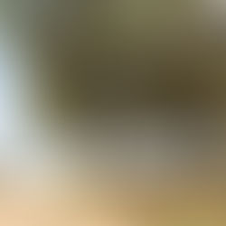 Day 7 Zafra to Villafranca