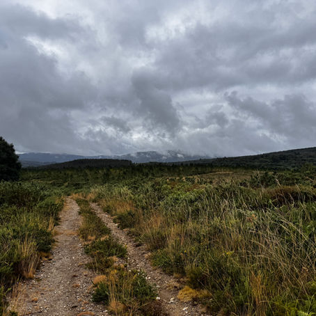 Day 10 - Forcarei to Estrada