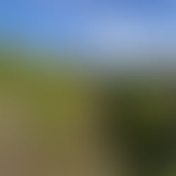 Day 11 Santa Marta de Penaguião to Vila Real